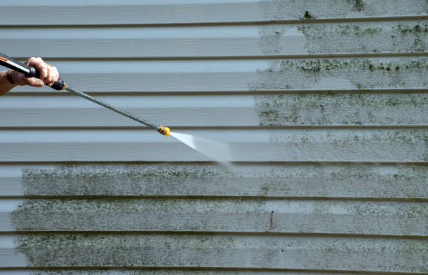 Reliable Virginia Beach, VA Pressure Washing Services Solutions